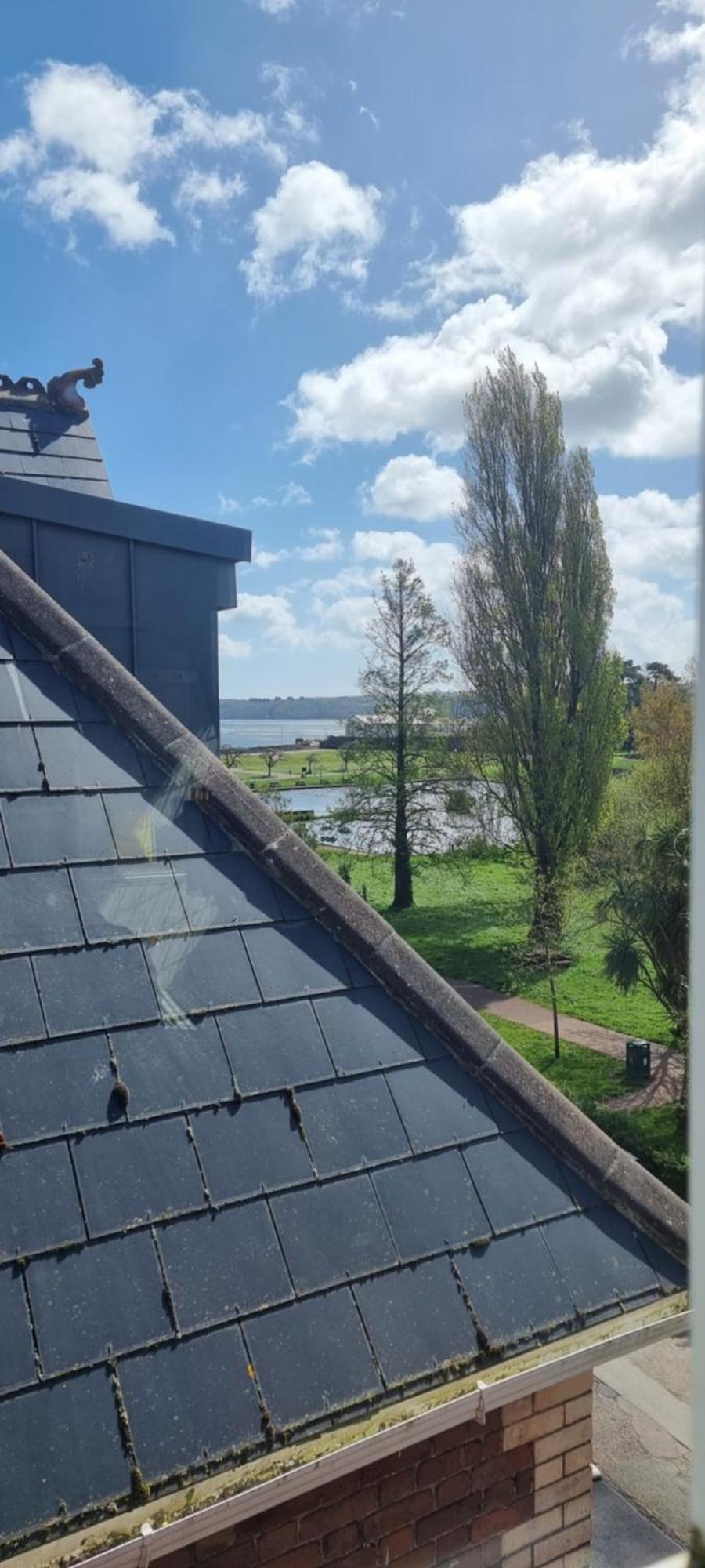 Rowcroft Lodge Guest House B&B Paignton Esterno foto