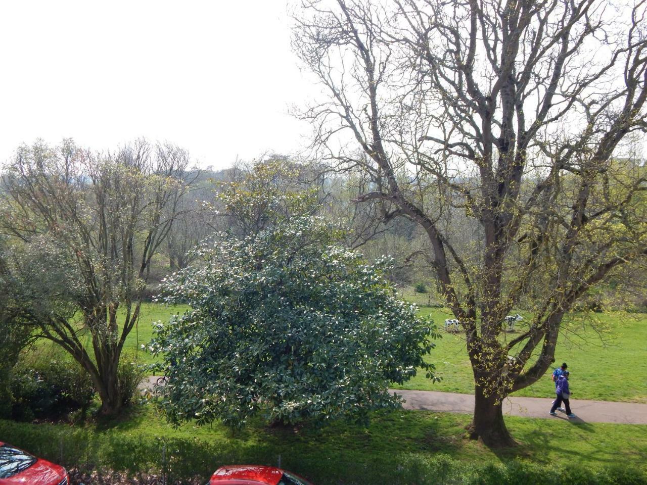Rowcroft Lodge Guest House B&B Paignton Esterno foto
